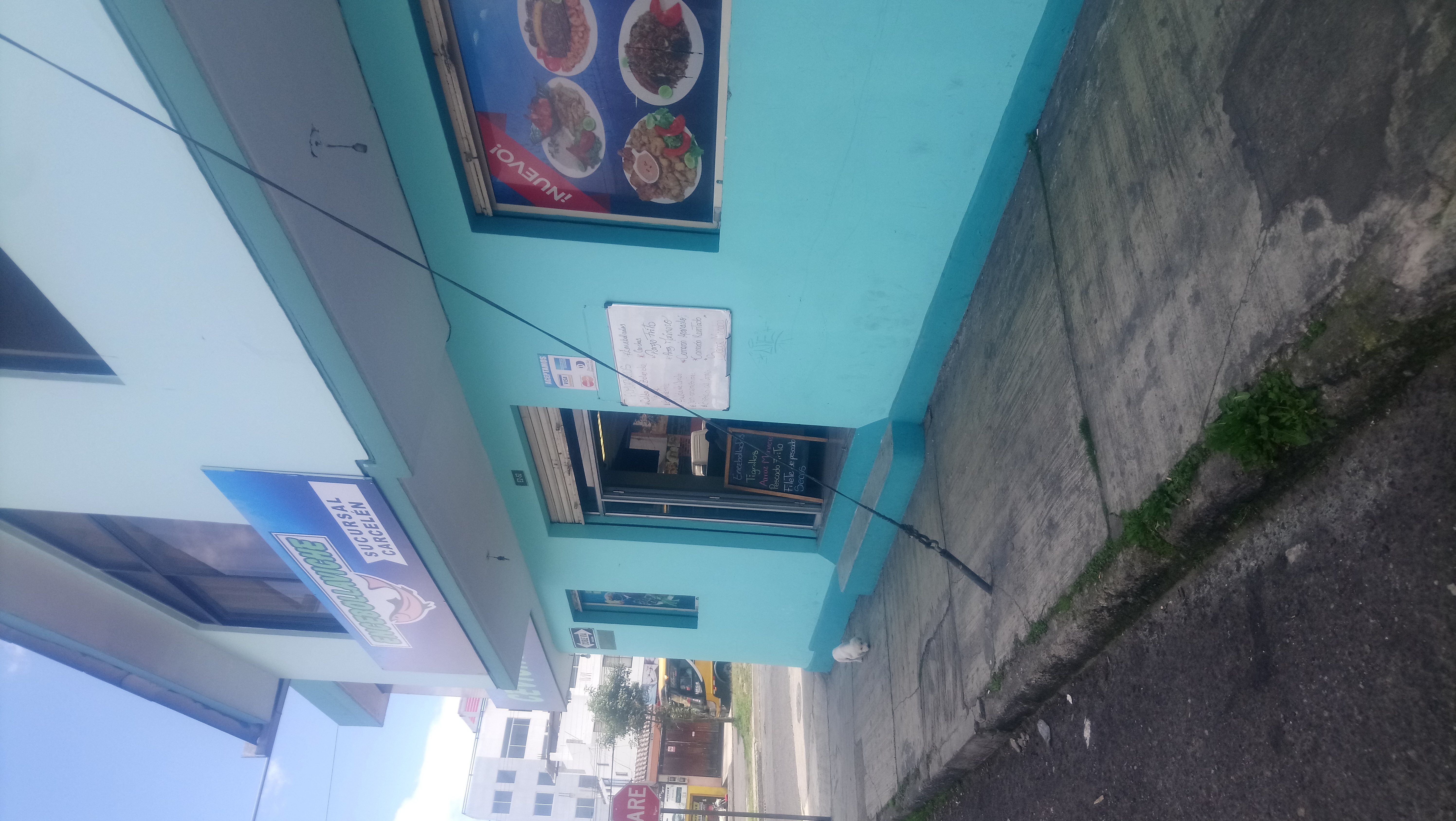 Foto de ENCEBOLLAVICHE