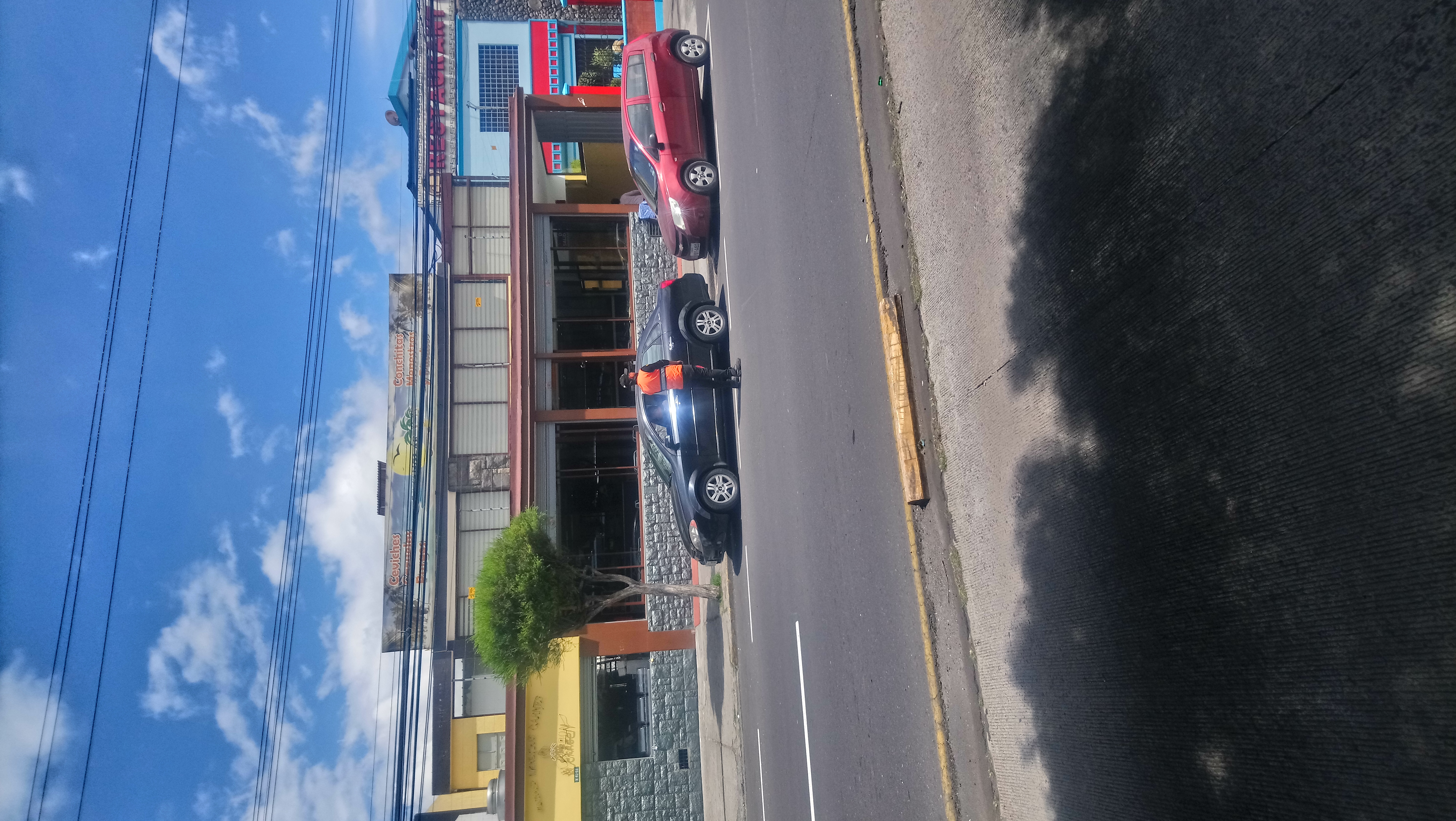 Foto de EL MANGLAR DE LAS CONCHAS