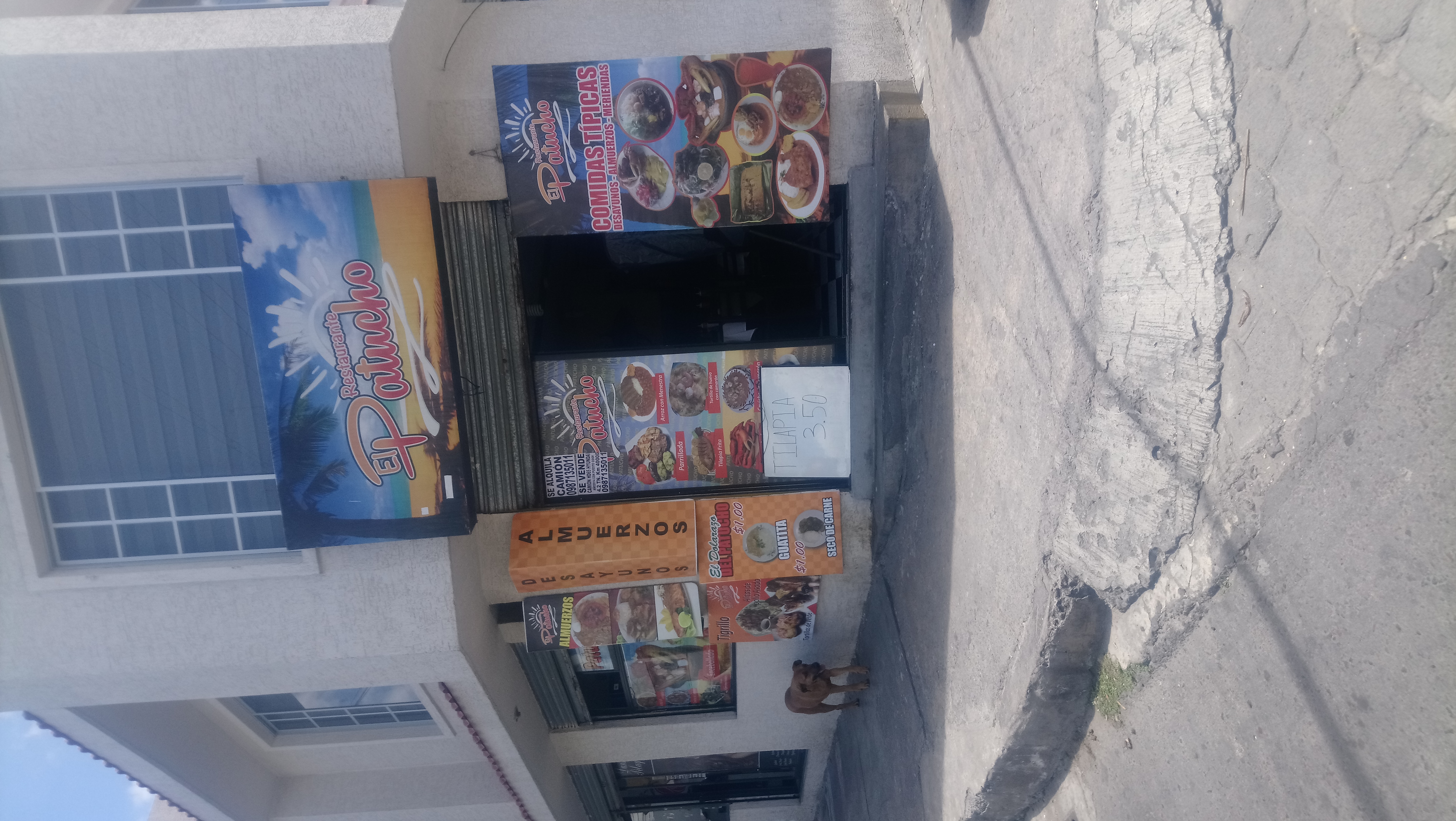 Foto de EL PATUCHO