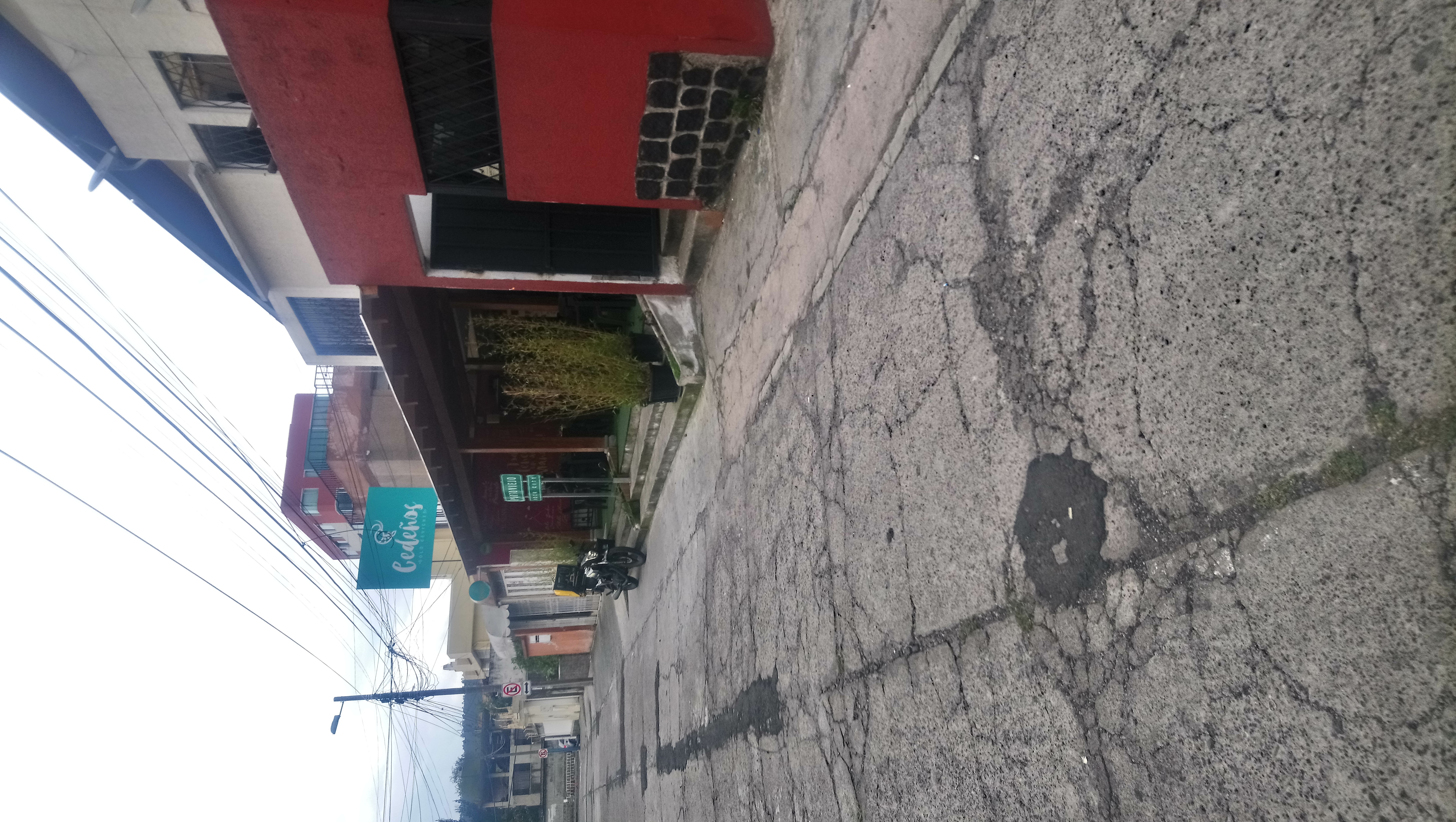 Foto de CEDEñOS