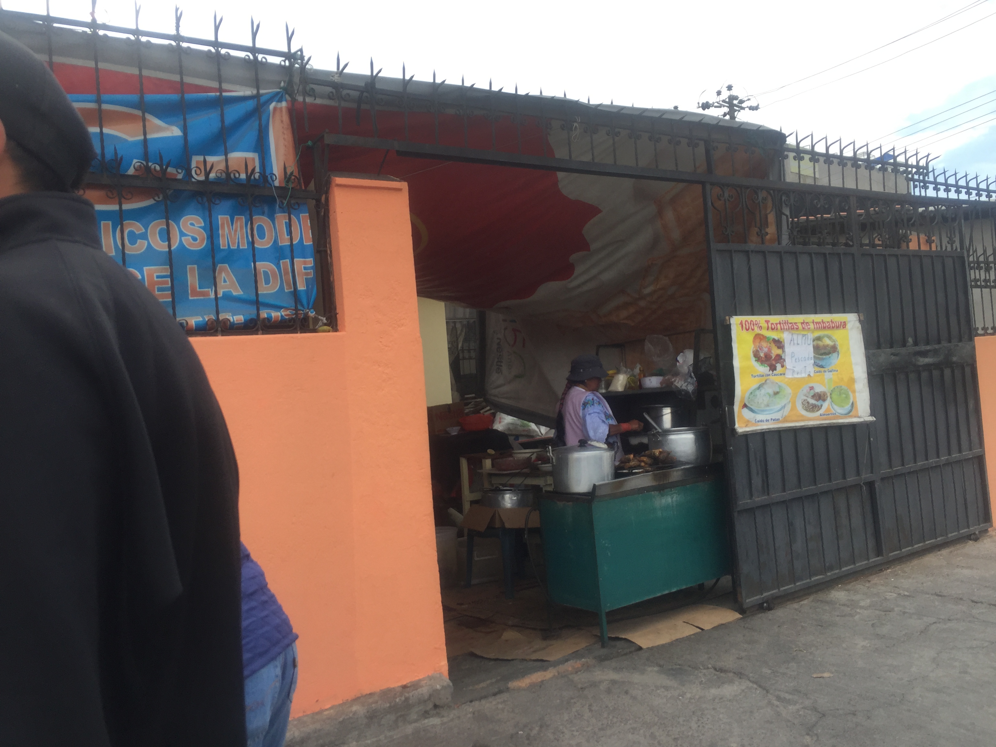 Foto de TILAPIAS DE IMBABURA