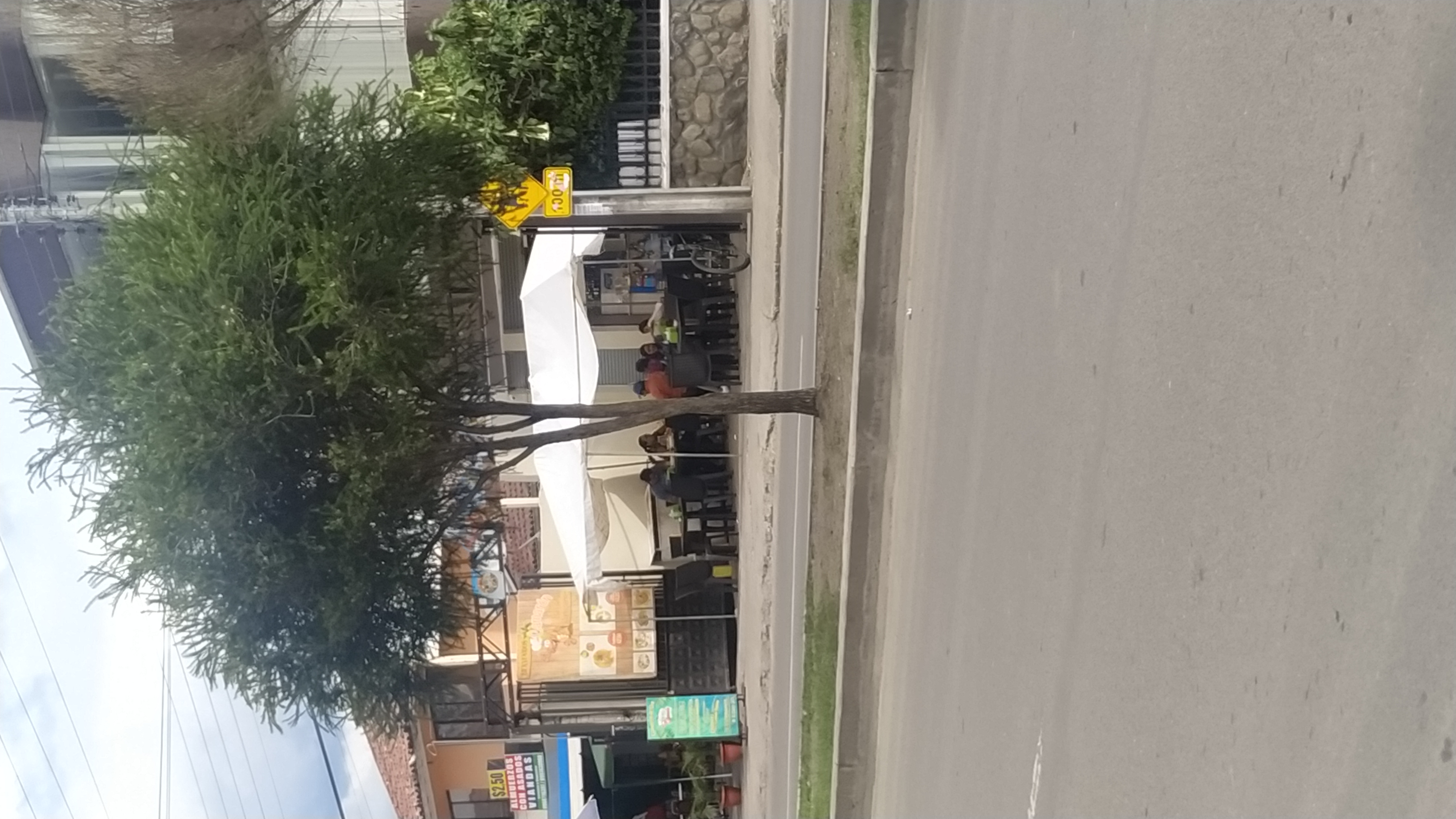 Foto de CAMARóN DE ORO