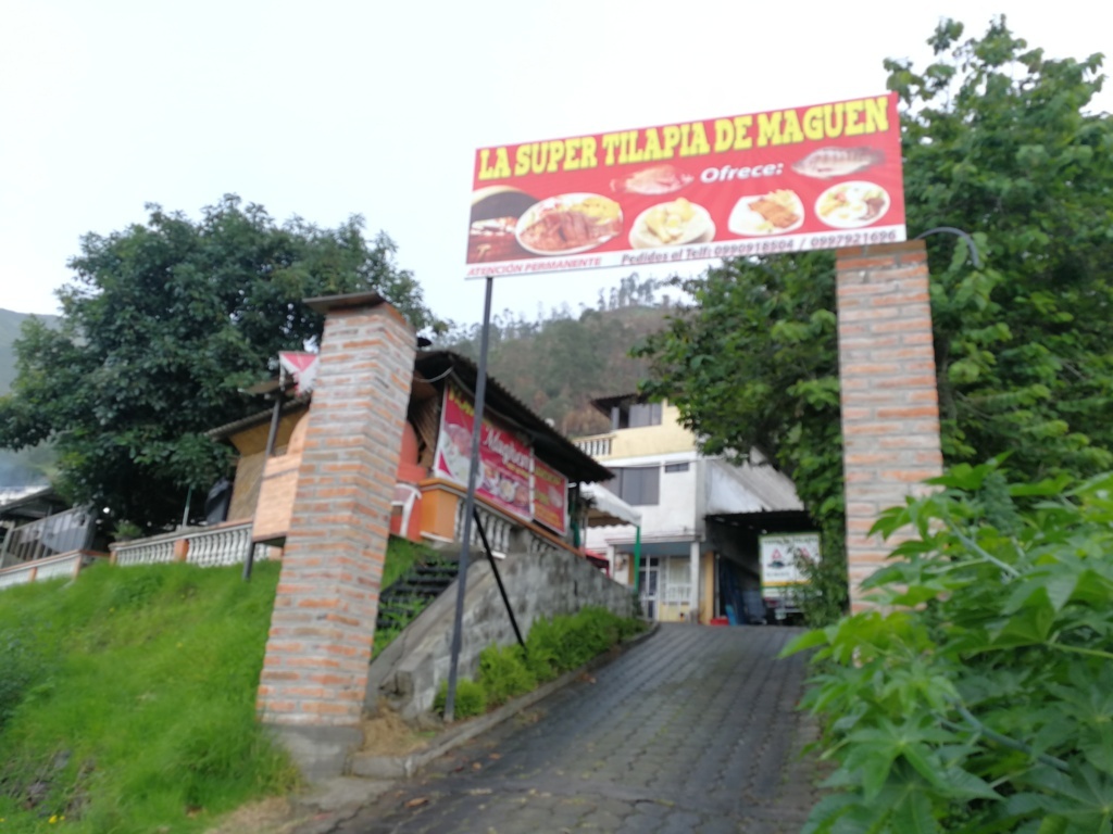 Foto de LA SUPER TILAPIA DE MAGUEN