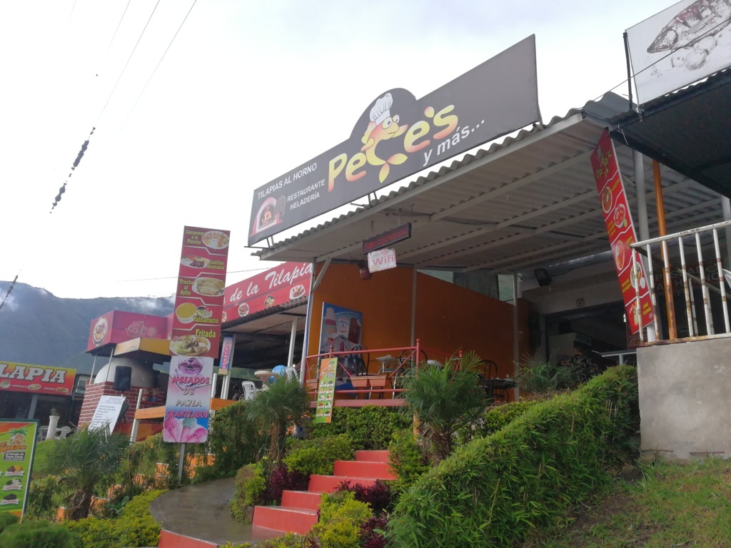 Foto de PECES Y MáS