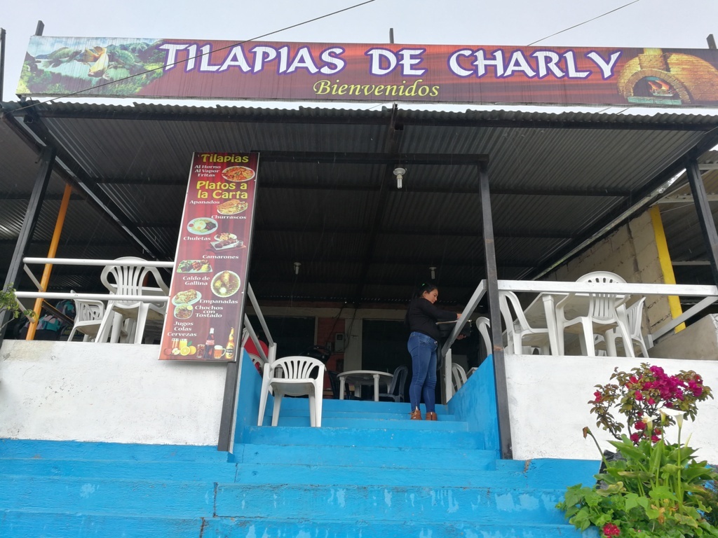 Foto de TILAPIA DE CHARLY