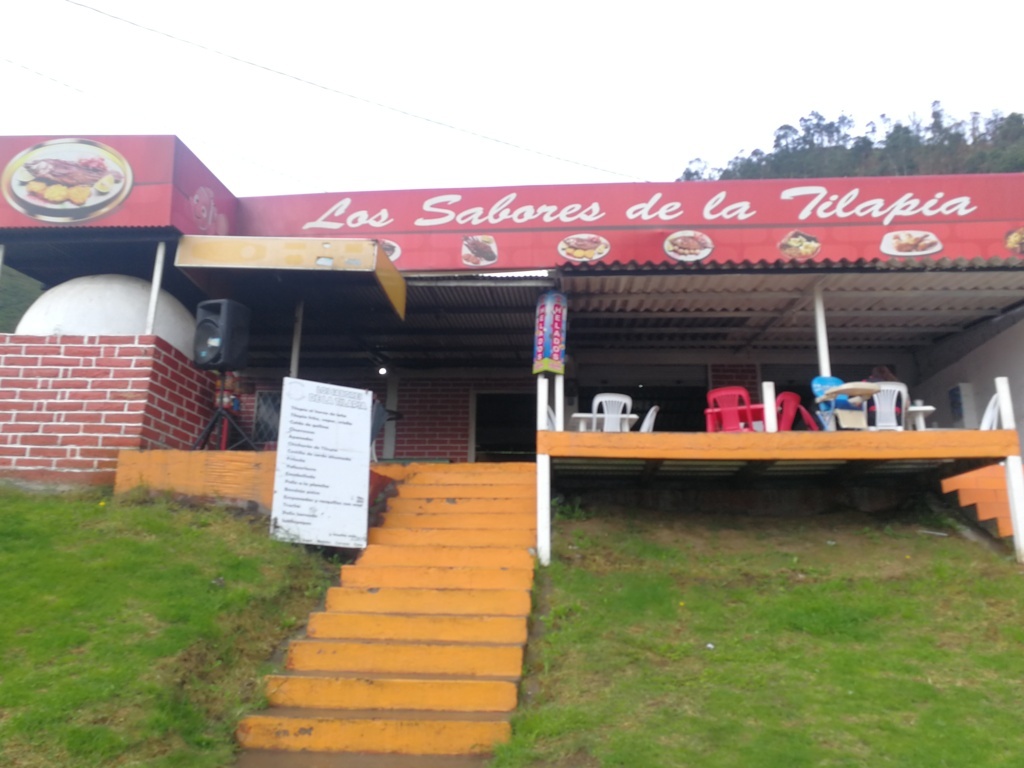 Foto de LOS SABORES DE LA TILAPIA