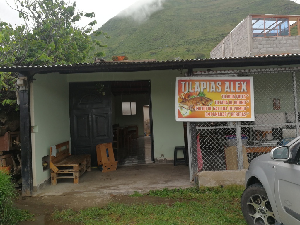 Foto de TILAPIAS ALEX