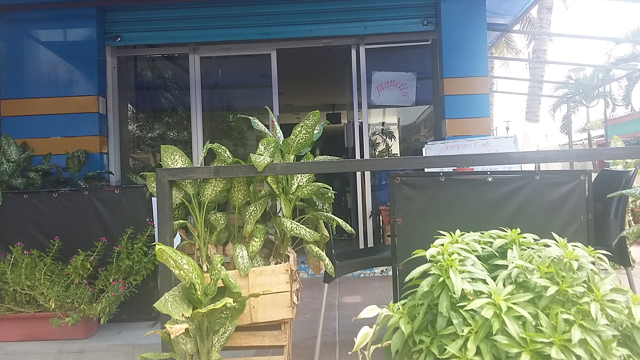 Foto de LAS TUNAS