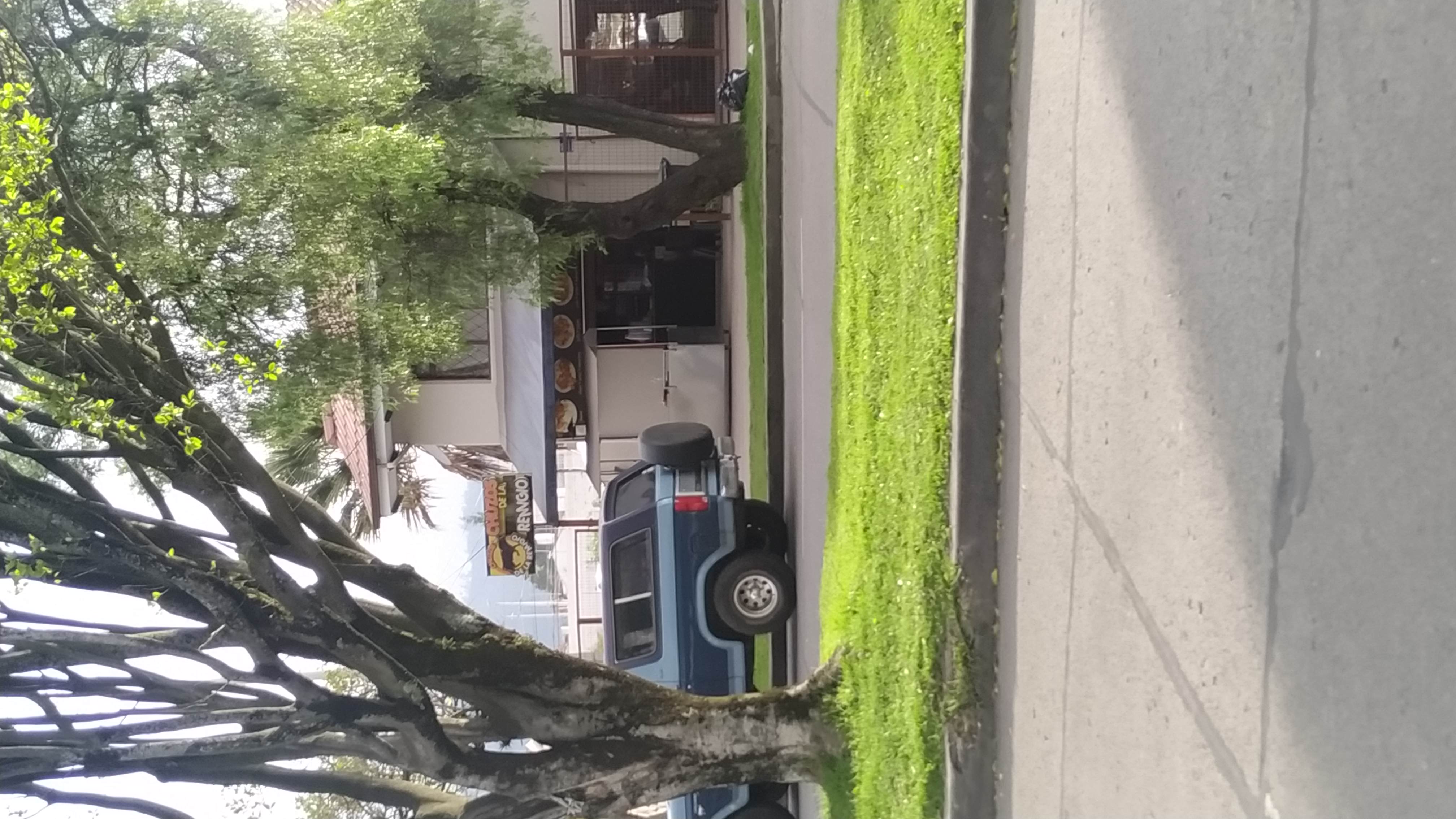 Foto de CHUZOS DE LA REMIGIO