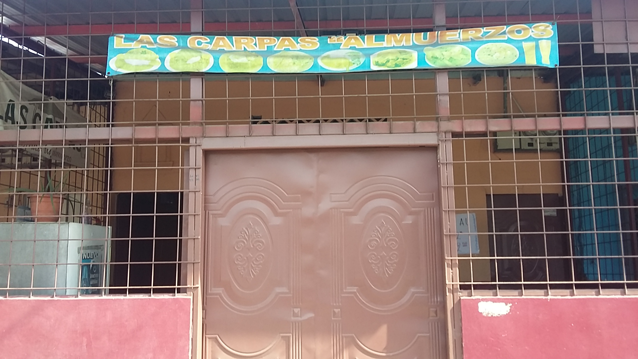 Foto de LAS CARPAS