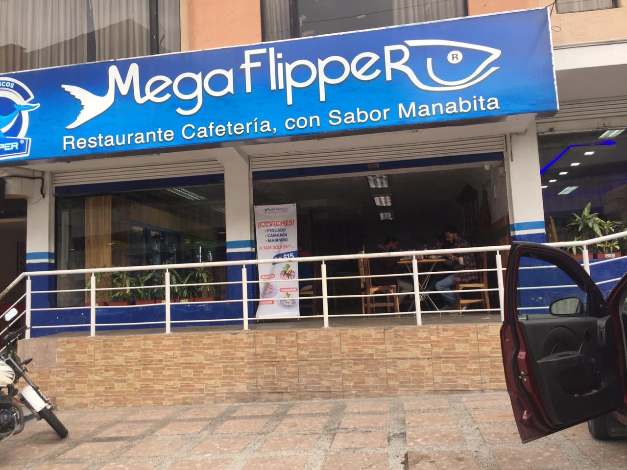 Foto de MEGA FLIPPER