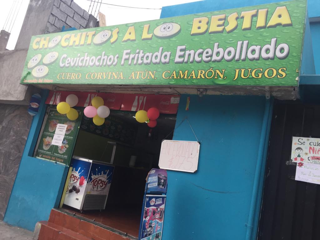 Foto de CHOCHITOS A LO BESTIA