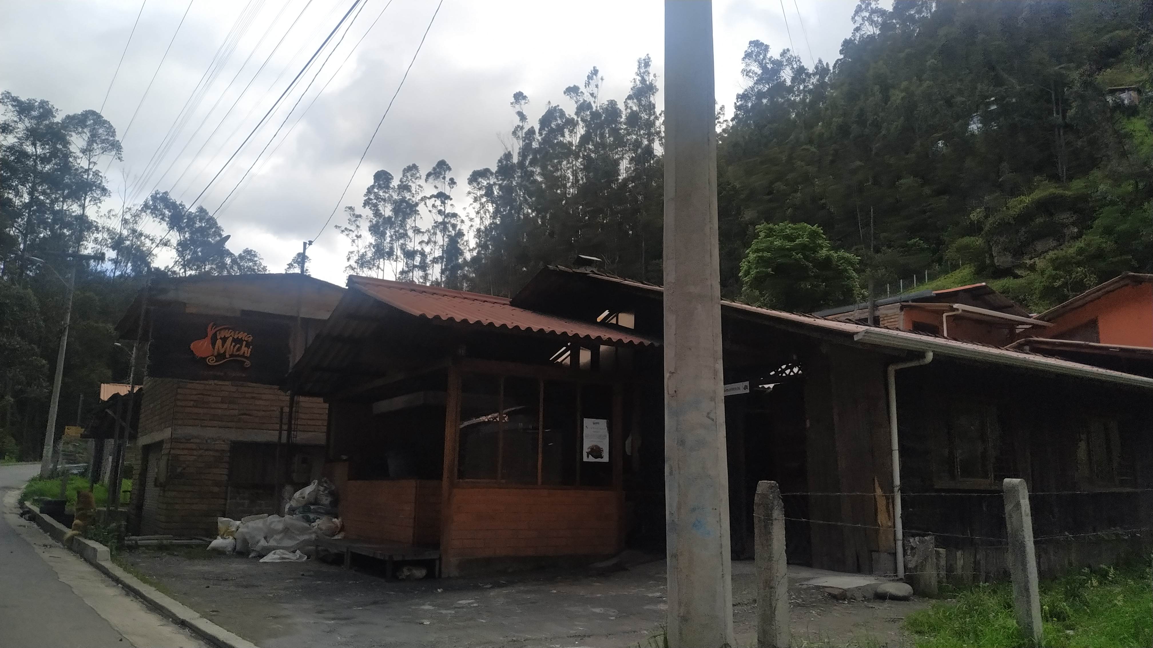 Foto de MAMA MICHI