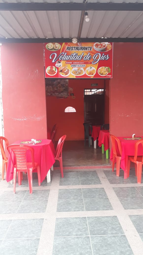 Foto de VOLUNTAD DE DIOS