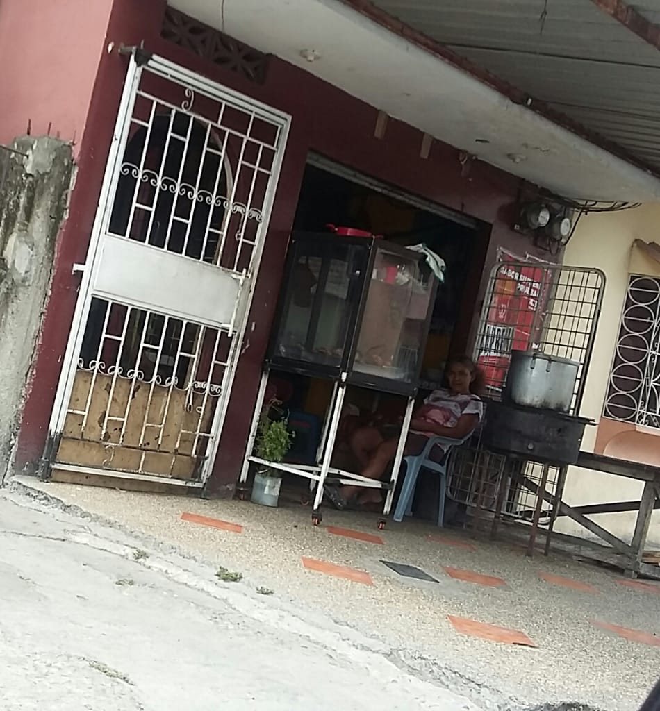 Foto de ENCEBOLLADO FER