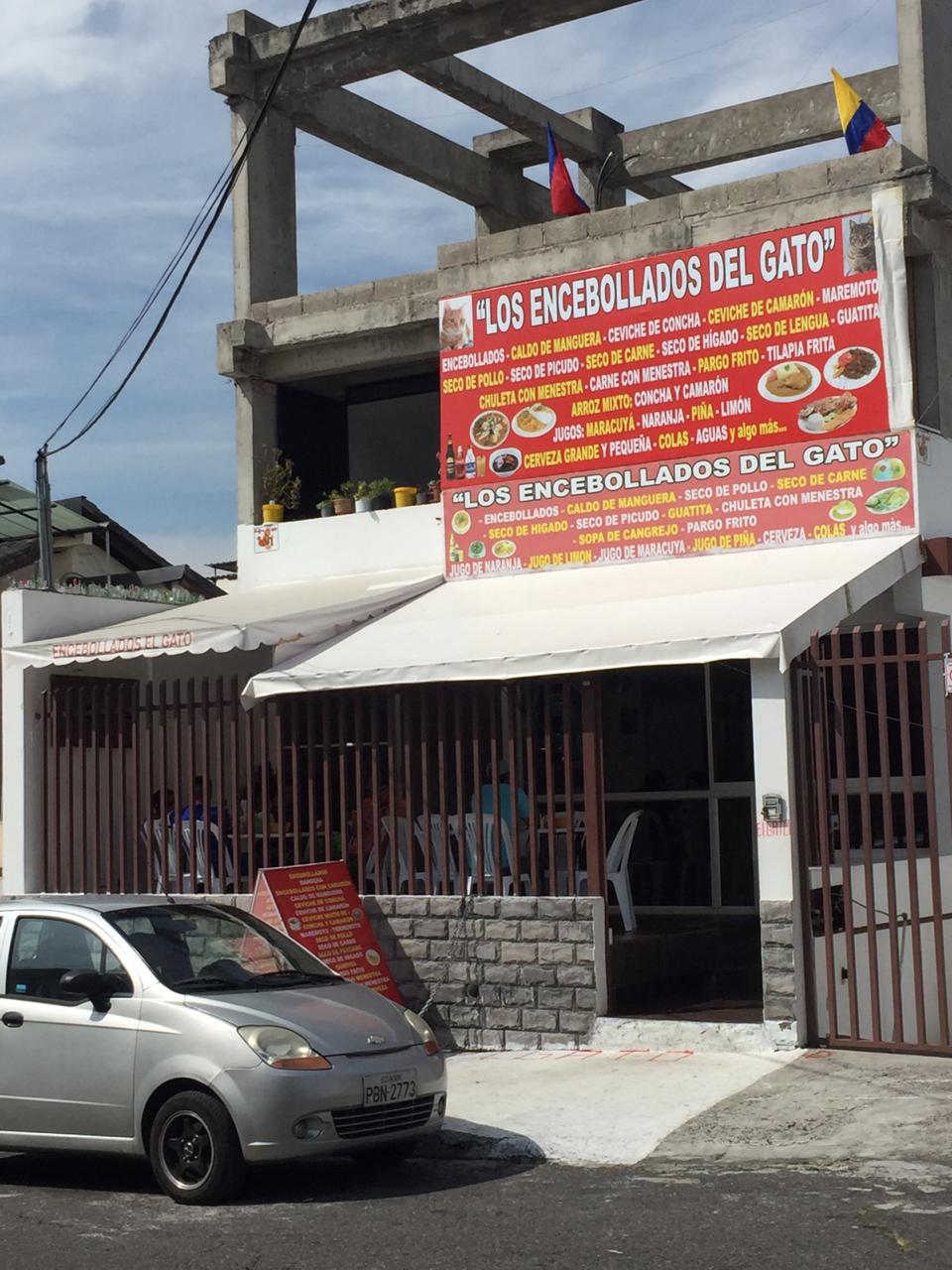 Foto de LOS ENCEBOLLADOS DEL GATO