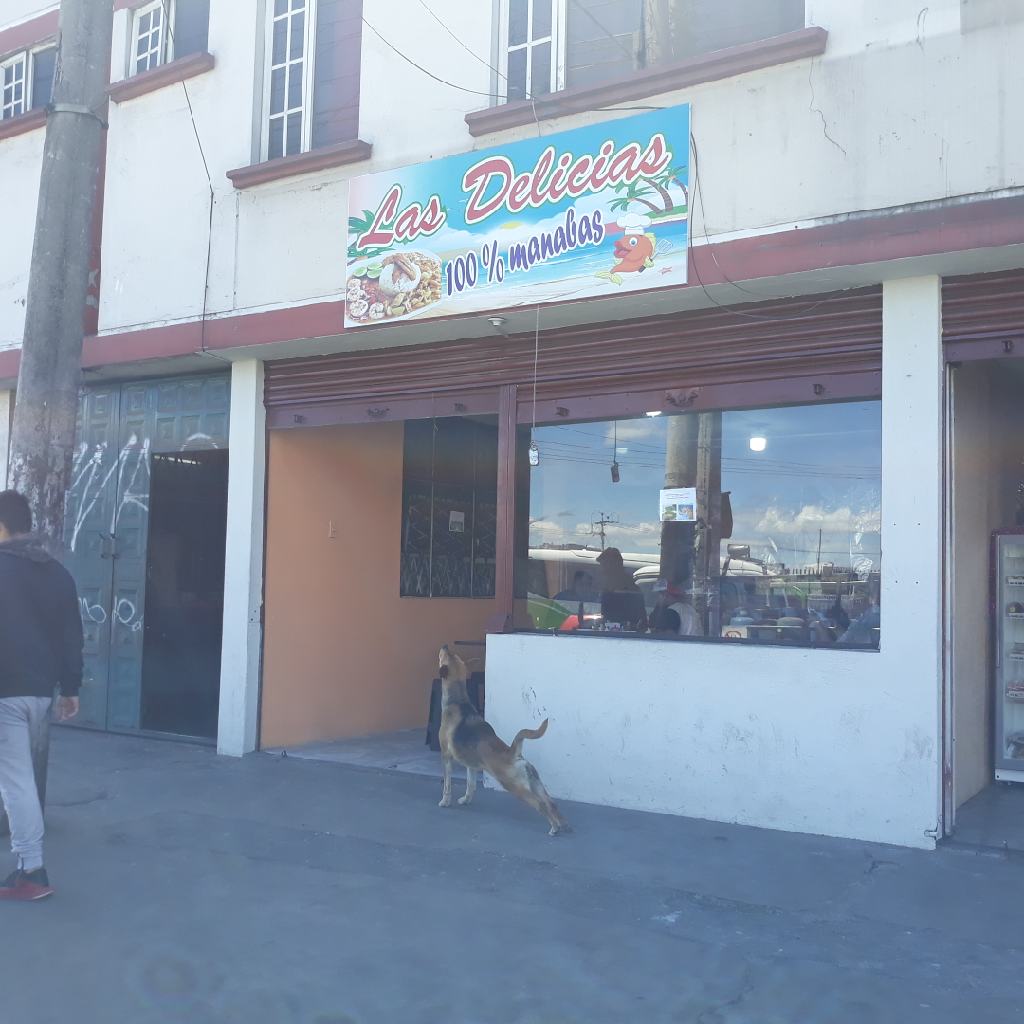 Foto de LAS DELICIAS