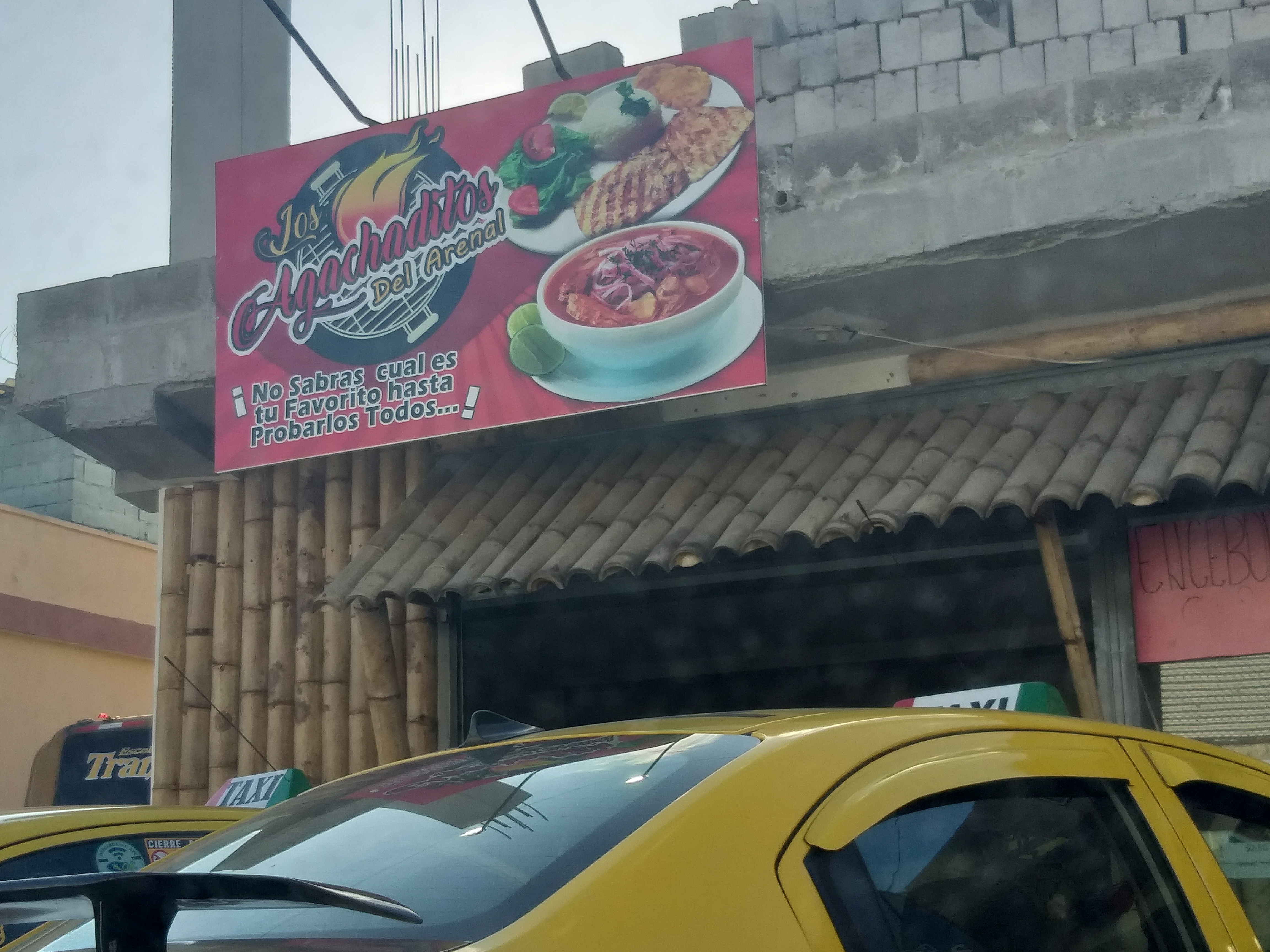 Foto de LOS AGACHADITOS DEL ARENAL