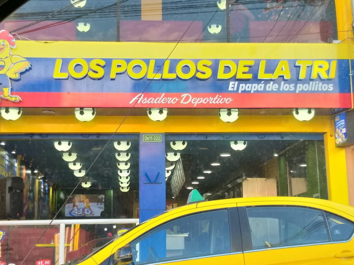 Foto de LOS POLLOS DE LA TRI