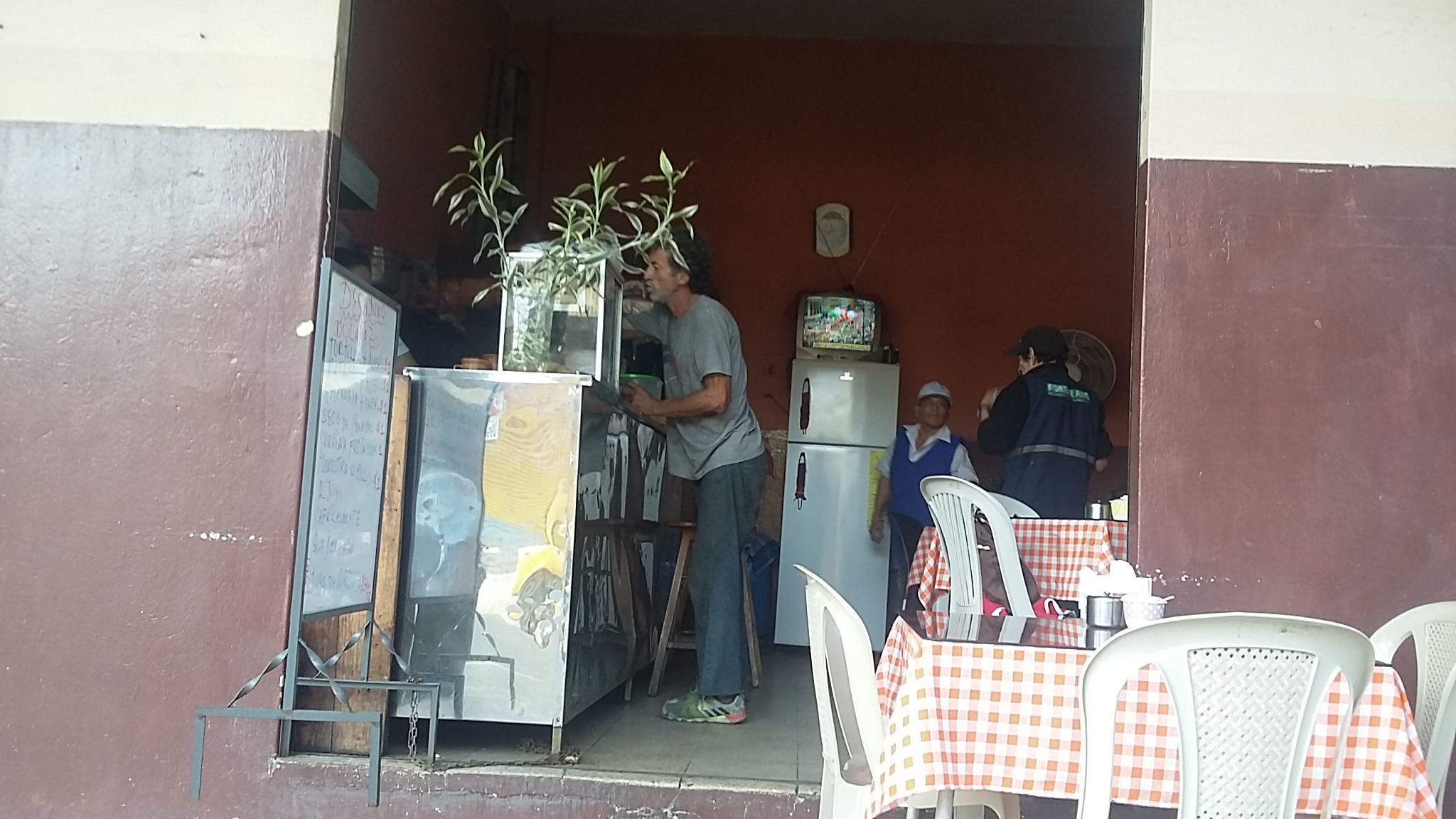 Foto de SON CARLOS