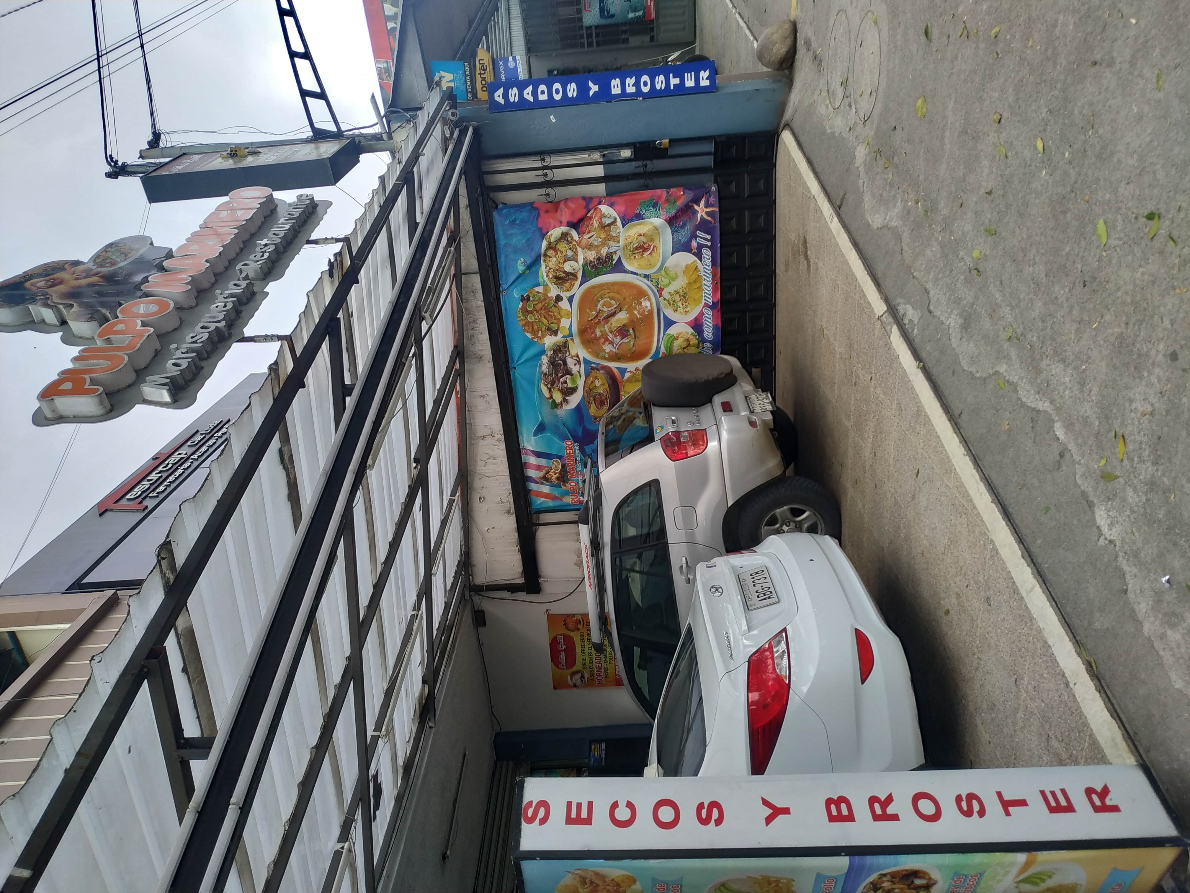 Foto de PULPO MARINERO
