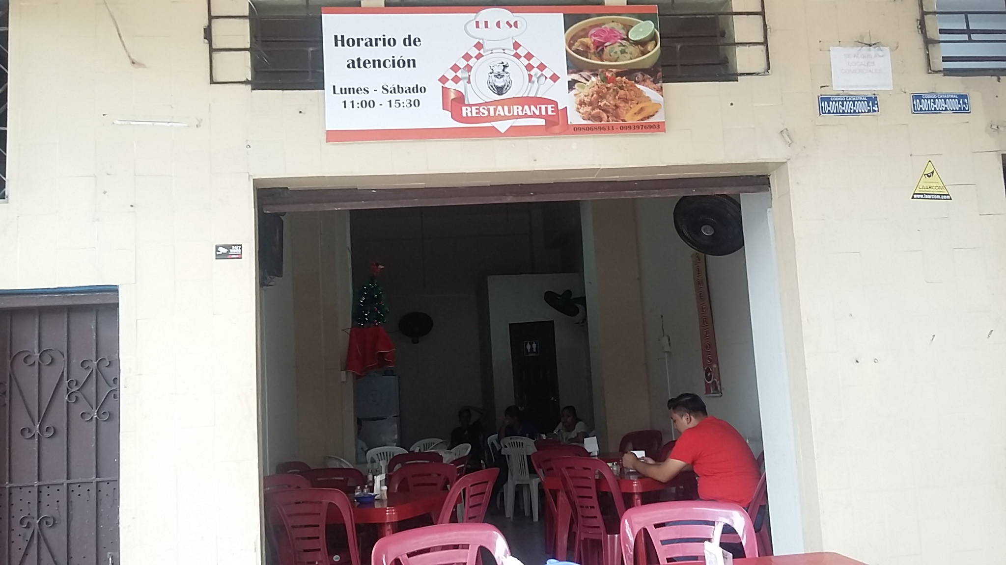 Foto de EL OSO