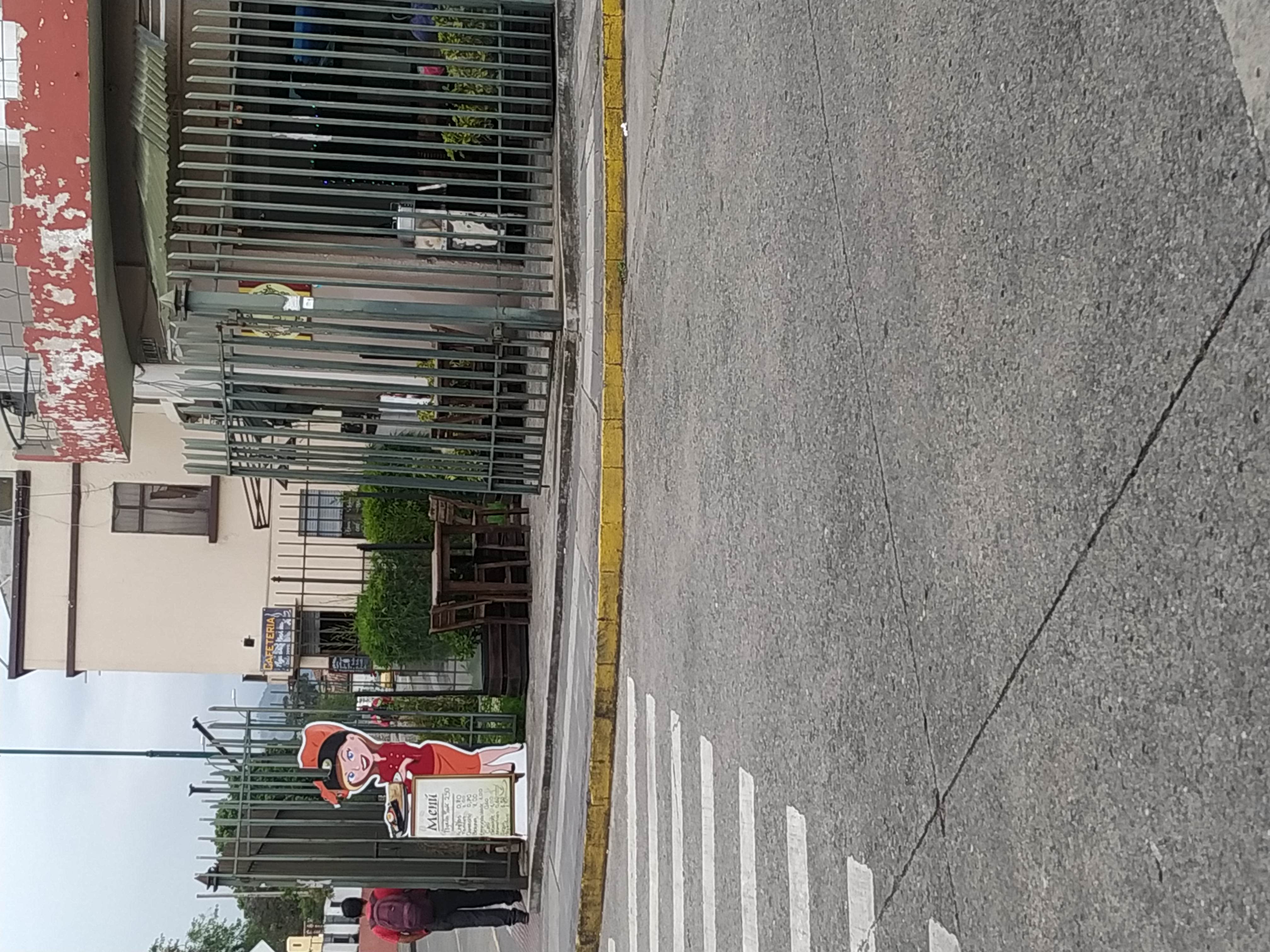 Foto de NOGAL