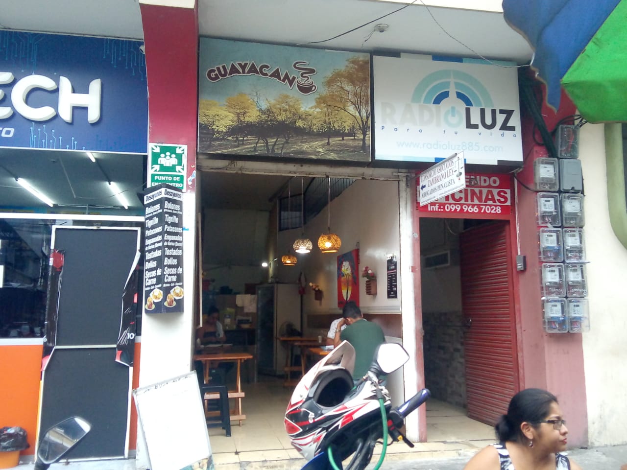 Foto de GUAYACAN
