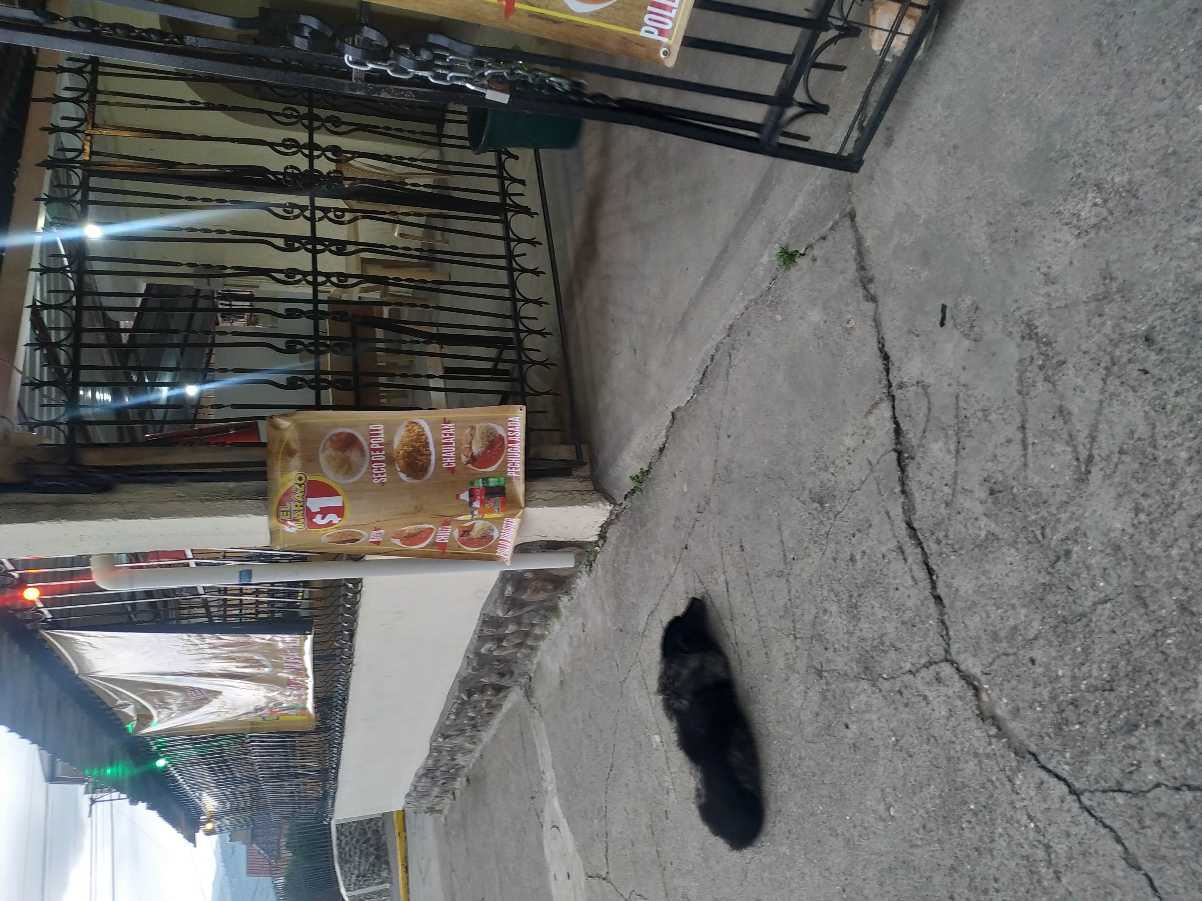 Foto de EL DOLARAZO