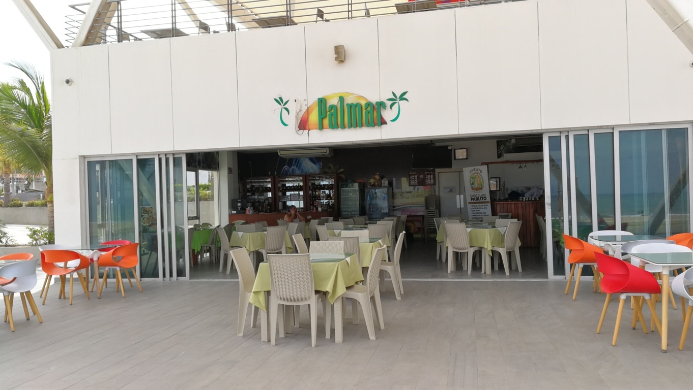 Foto de PALMAR