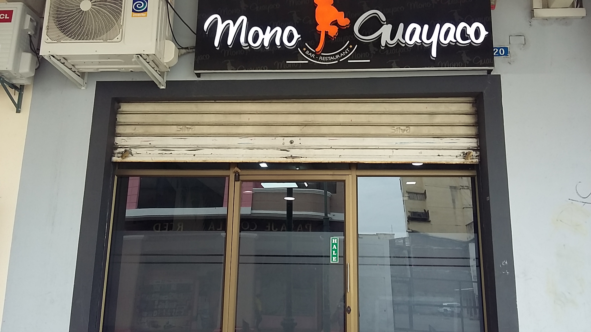 Foto de MONO GUAYACO
