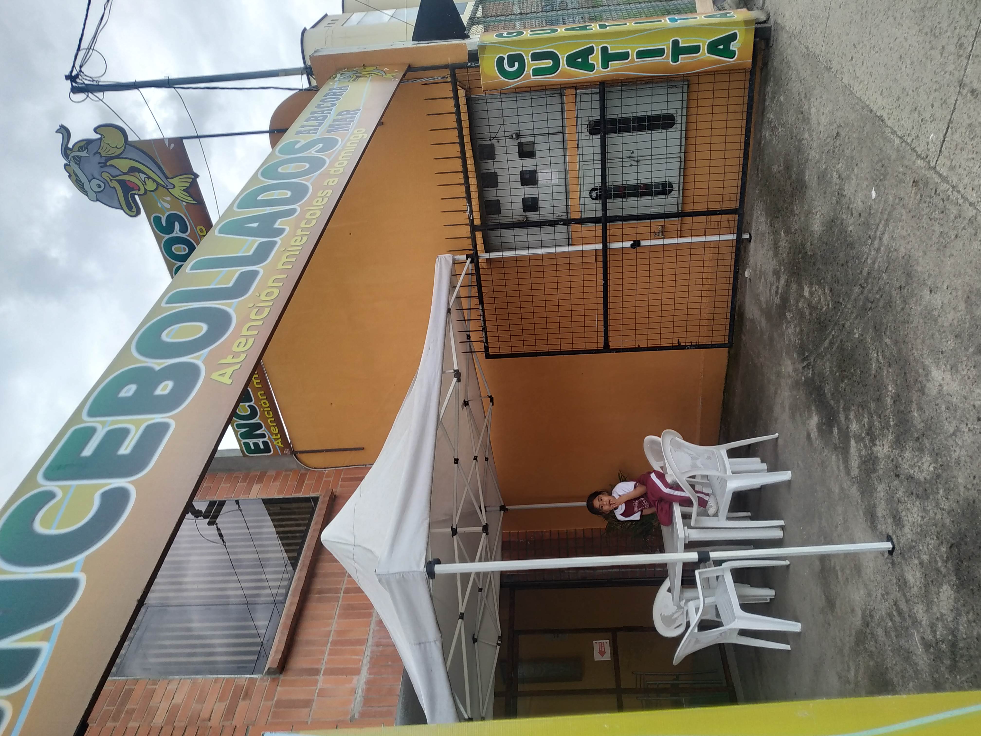 Foto de ENCEBOLLADOS
