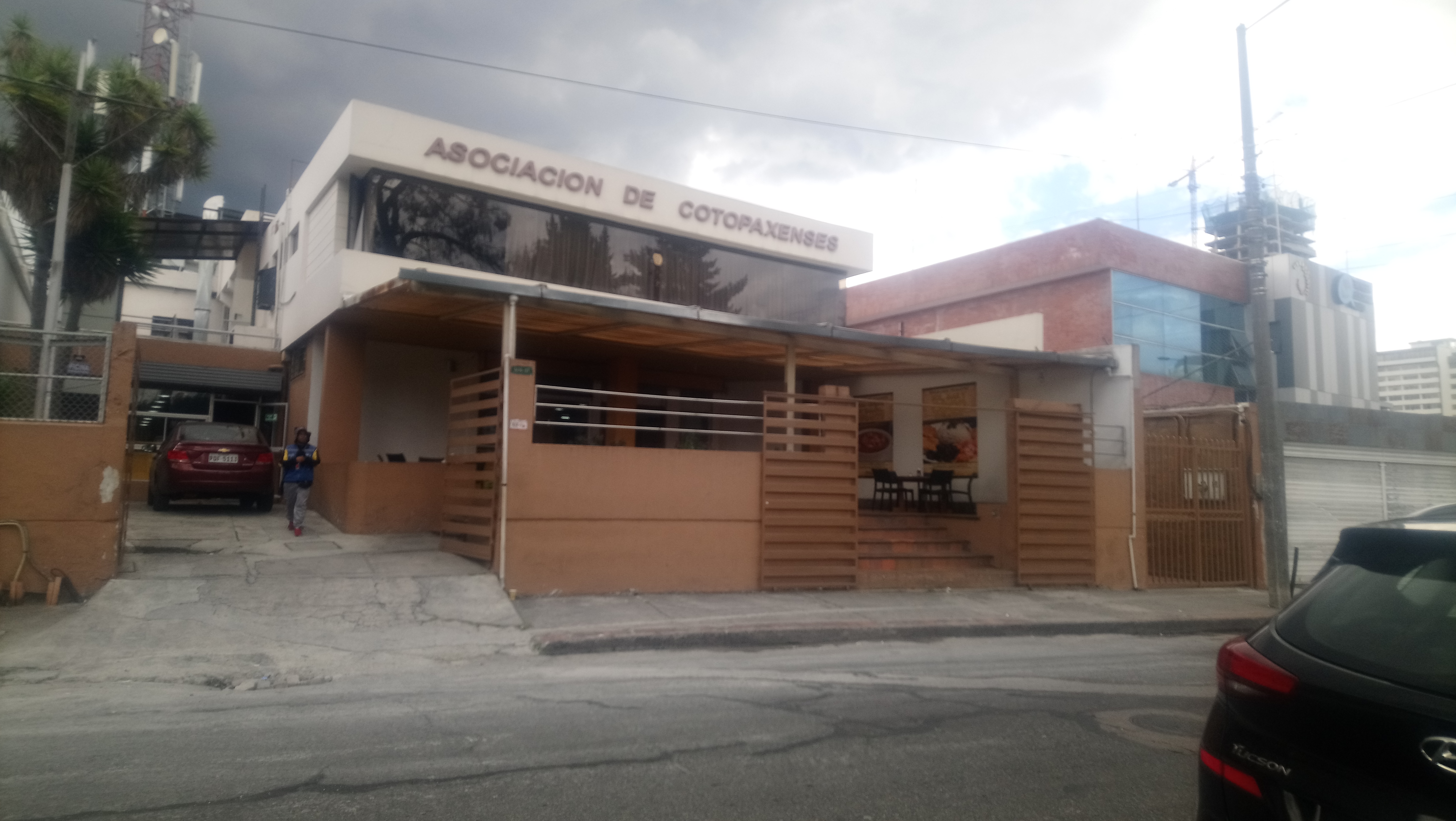 Foto de LAS PALMERAS