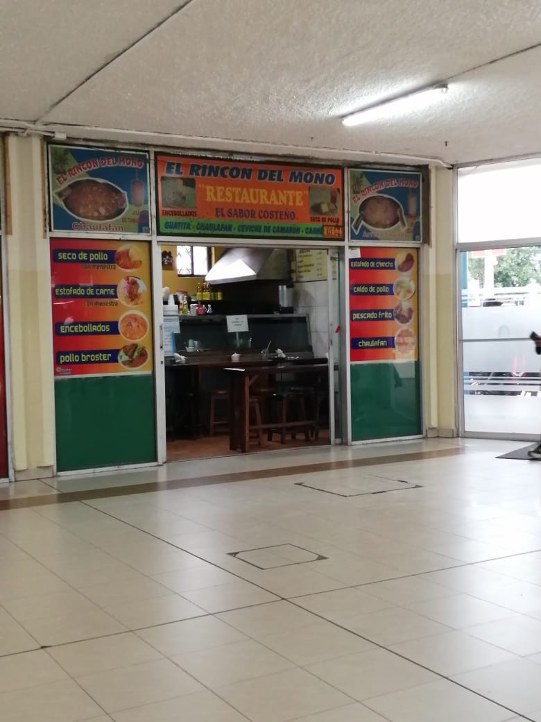 Foto de EL RINCóN DEL MONO